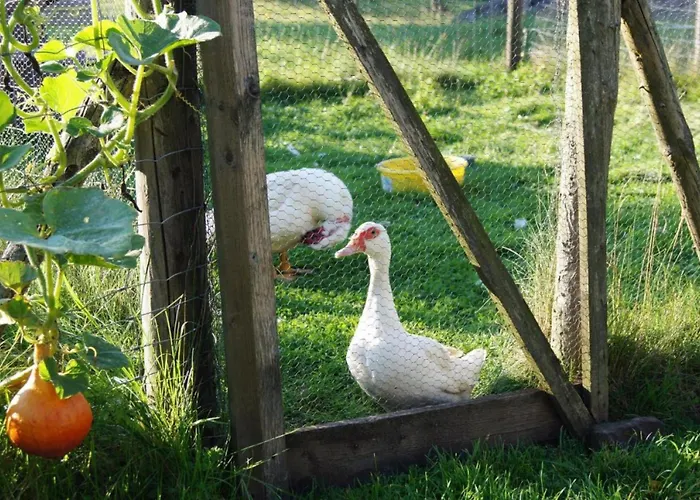 Wiesenschneiders * Freiensteinau
