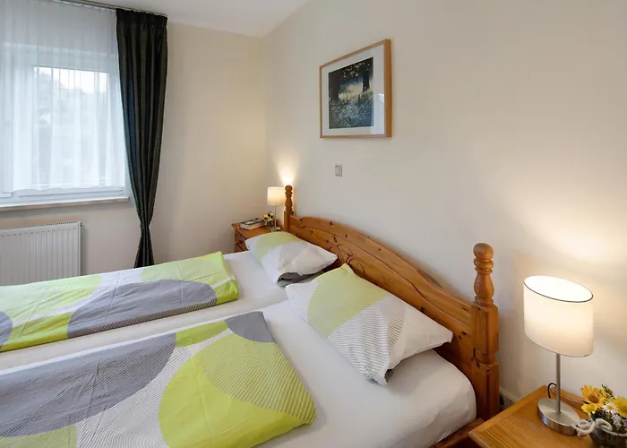 Wiesenschneiders Апартаменты Freiensteinau